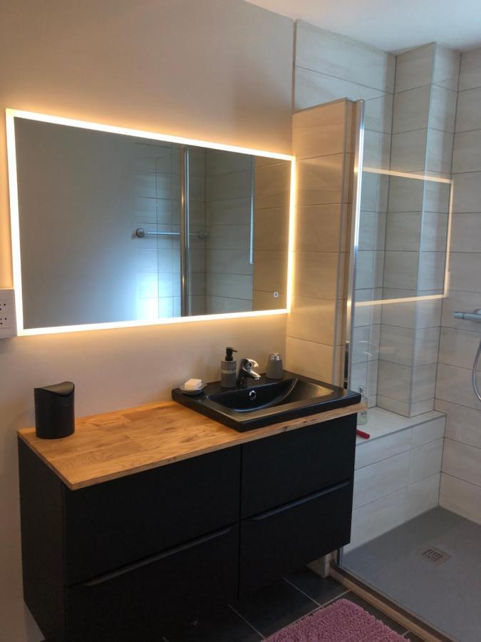 Appartement L'Oeil De กอลมาร์ ภายนอก รูปภาพ